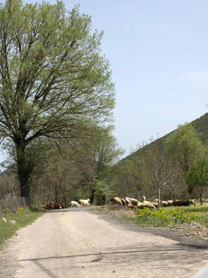 Poliani Village Poliána Exterior foto